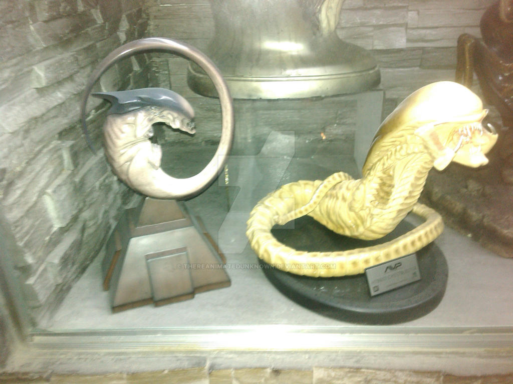 Window Alien Display Alien display by thereanimatedunknown on DeviantArt