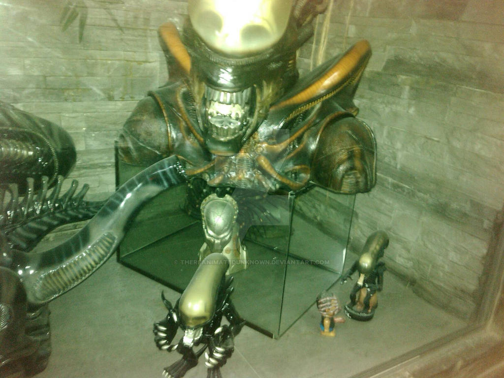 Alien display 5 by thereanimatedunknown on DeviantArt