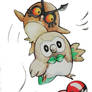 Hoothoot and Rowlet