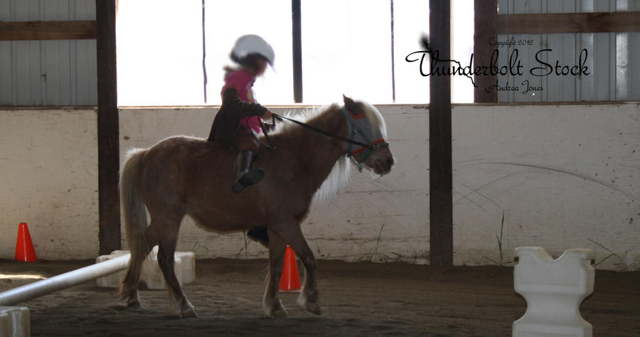 Palomino Pony Stock 2