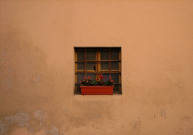 sweet old window