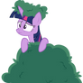 Twilight is hide in the bushes