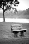 Empty Bench by Manlarr