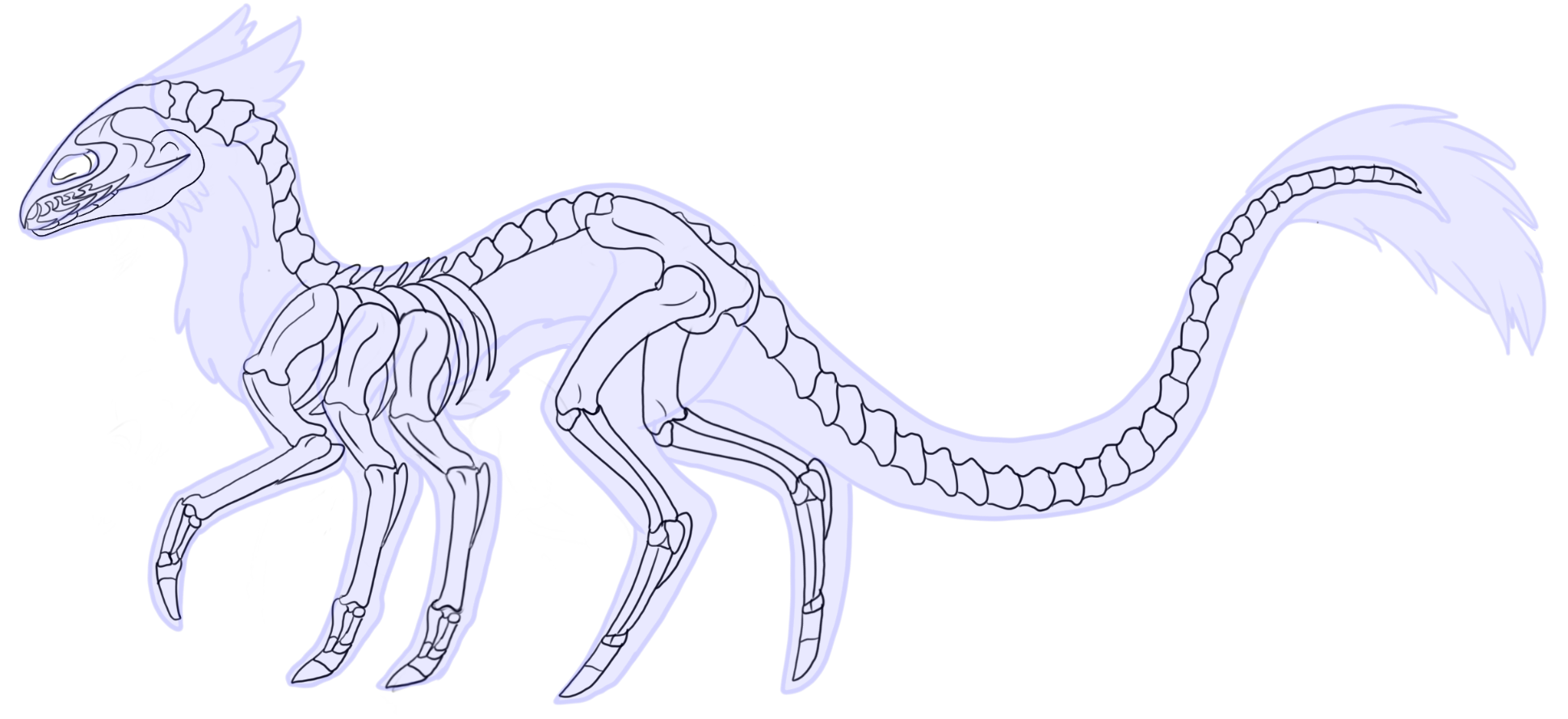 Terrevanian Salamander Skeleton