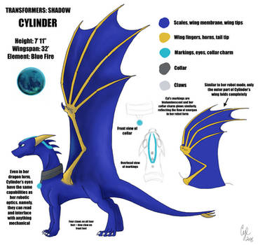 TFS - Cylinder Character Ref