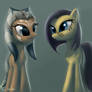 Pony Ahsoka and Barriss