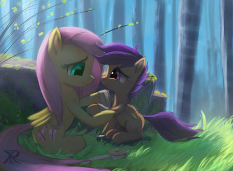 The kindness of Fluttershy