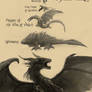 Dragons of Middle Earth