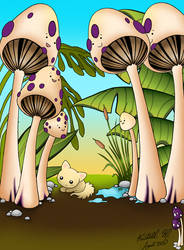 Mushroom Paradise