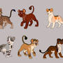 Lion Cubs Adoptables