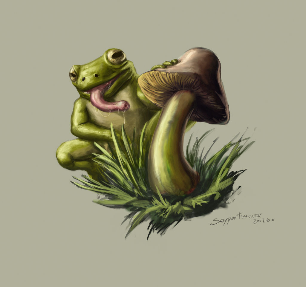 Frog on shrooms