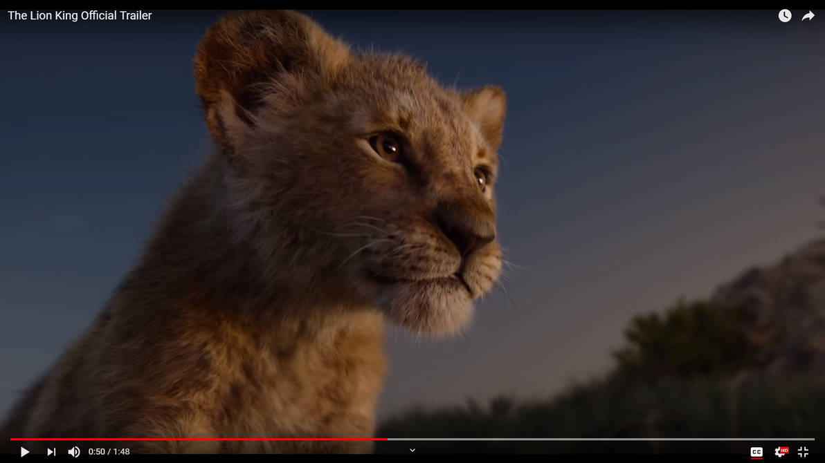 LIVE ACTION YOUNG SIMBA by LaceyPowerPuffGirl on DeviantArt