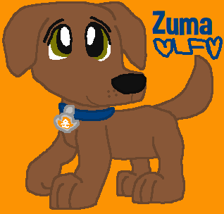 Zuma - Paw Patrol Fanart