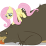 Fluttershy and Bear