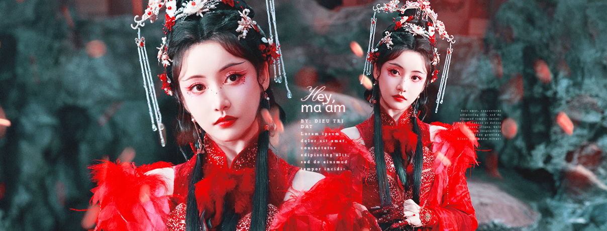 Banner - Aisling | PSD#208