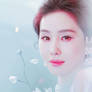 Banner - with Liu Shishi | PSD