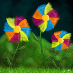 Pinwheels