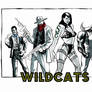 Wildcats Noir