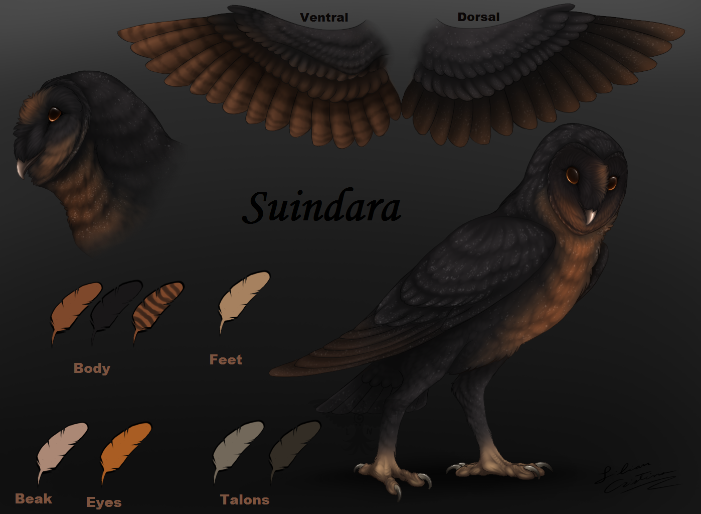 Suindara Ref. Sheet