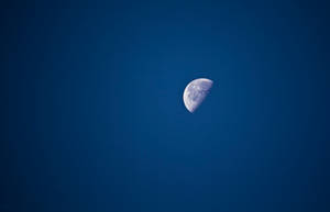 Morning Moon