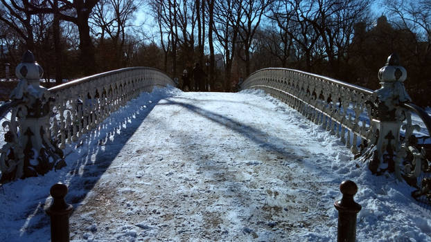 Snow Bridge