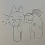 Slugray tomorrow, but for now, cat