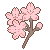 f2u sakura