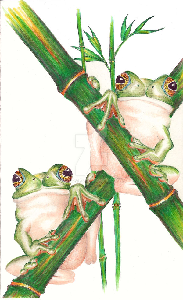 2 Frogs Hanging out