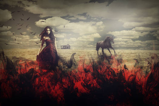 Photomanipulation: Fire Lady