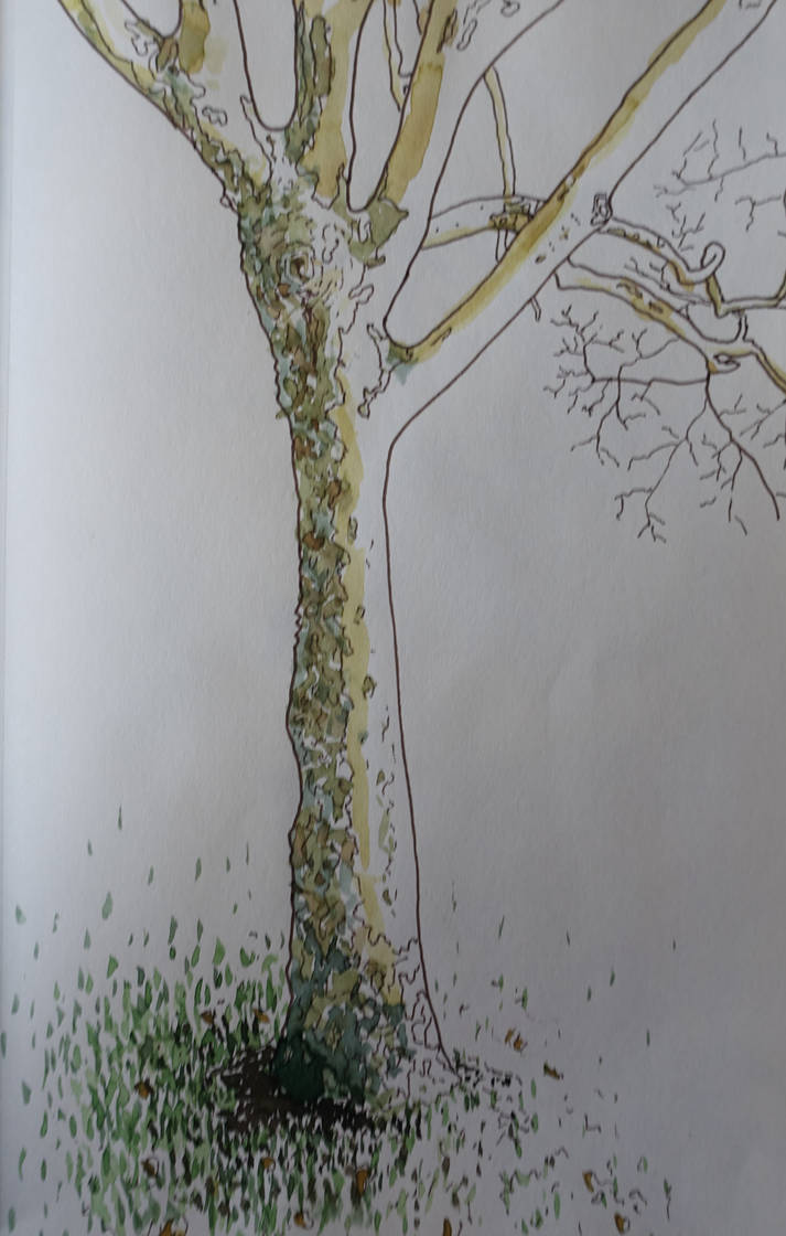 Spring Tree Sad Drawing Sad little Tree by PaulchenPan on DeviantArt