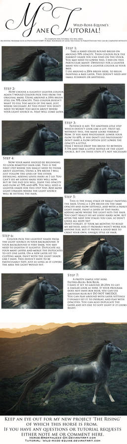 Mane Tutorial