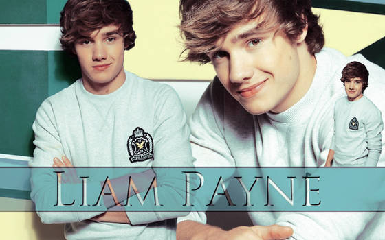 Liam Payne Wallpaper #1