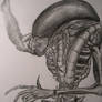 Sketch Book Alien