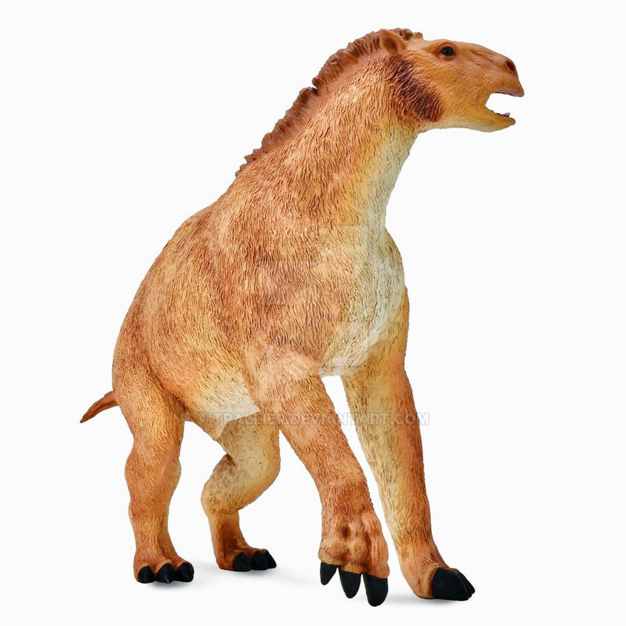 Moropus COLLECTA - MOROPUS by tpallier on DeviantArt