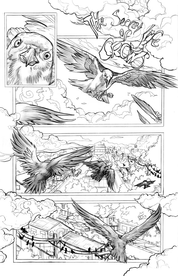 The Secret Life of Crows Page 1