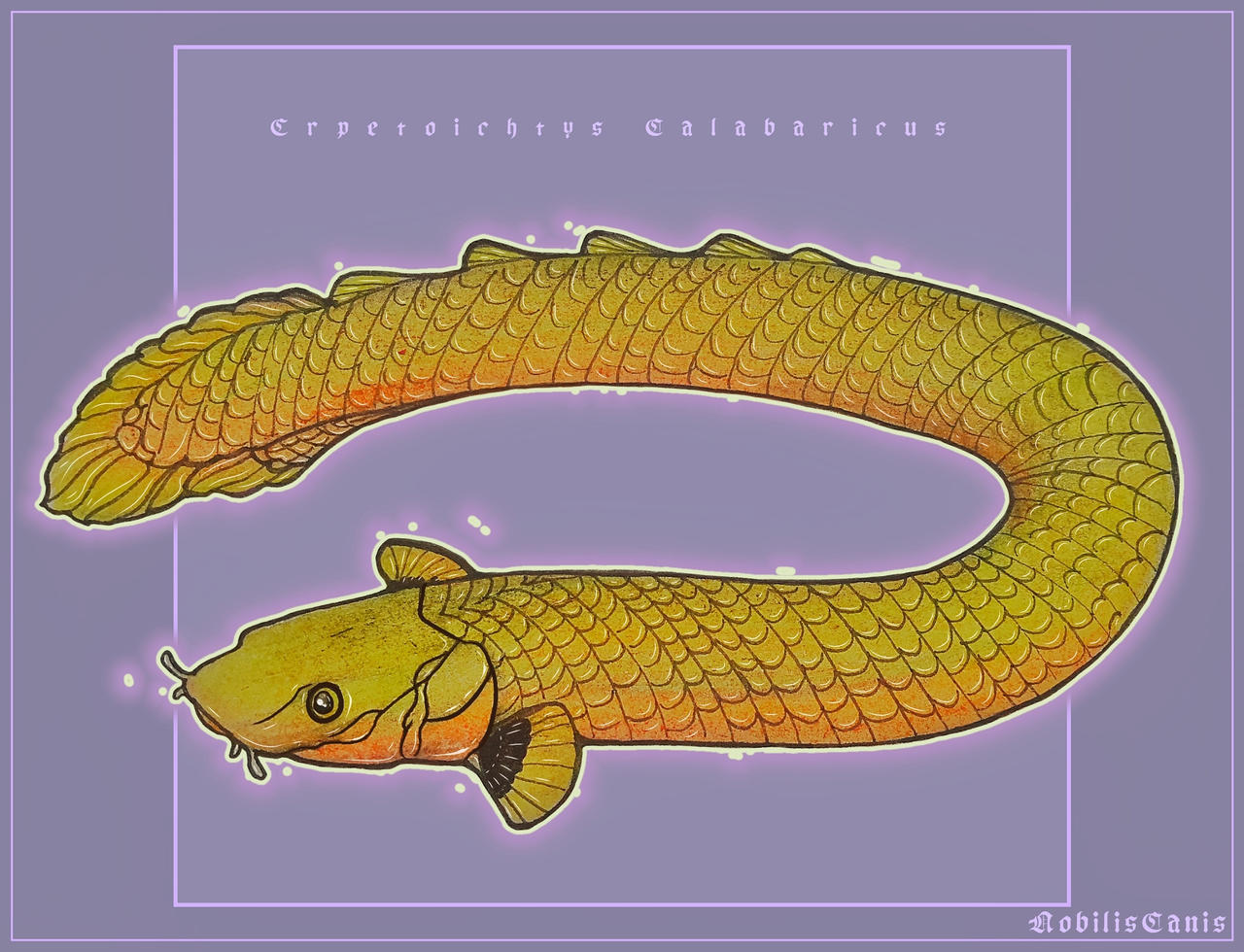 Rope fish by NobilisCanis on DeviantArt