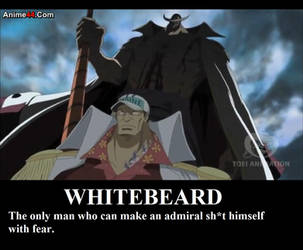 Don't mess with Whitebeard