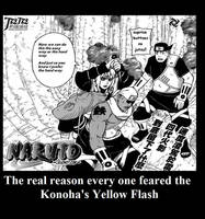 Yellow Flash?