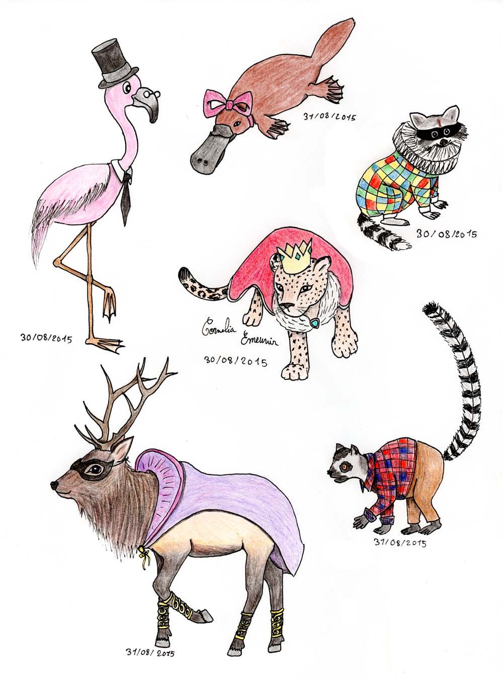 Costumed Animals