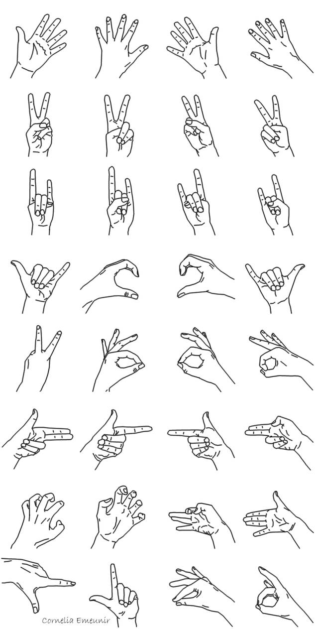 Hands Base by Cornelia-Emeunir on DeviantArt