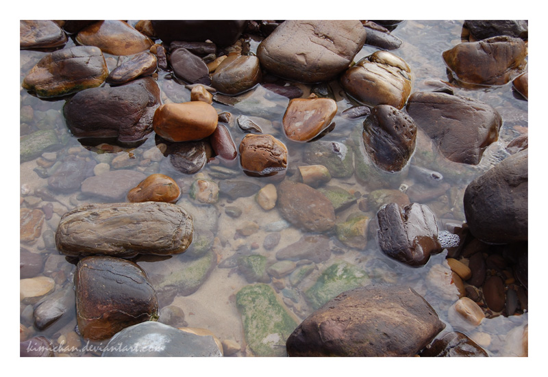 Rock Pool Close Up By Kimichan On Deviantart