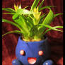 Oddish Flower Pot