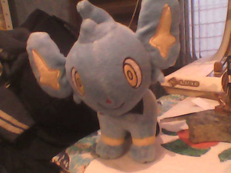 My Shinx