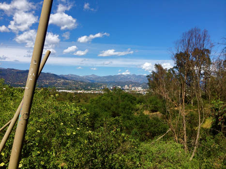 Los Angeles from Griffith Park