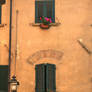 Windows with geraniums