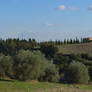 Campagna