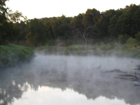 Pond Creek Fog