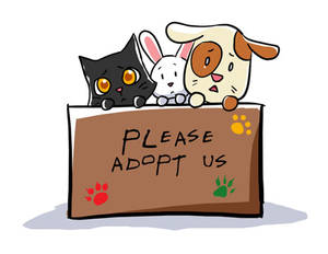 Please adopt us...