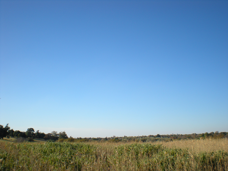 Clear blue sky