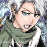 Toushirou Hitsugaya- Time Skip